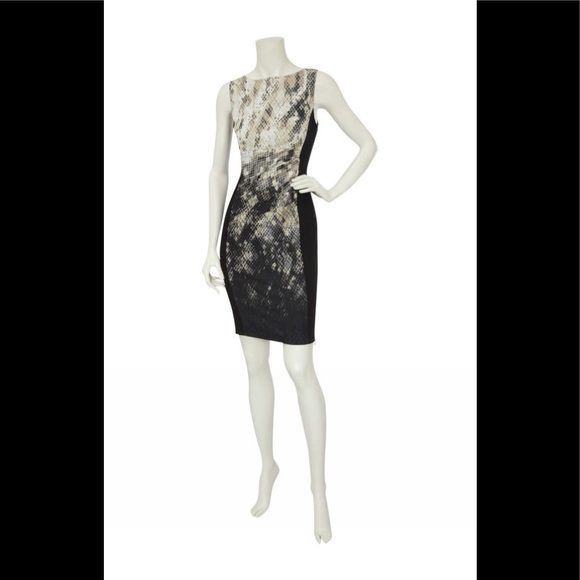 KAREN MILLEN Ombré Snake Print Pencil Dress 2 EU34 - Picture 3 of 8